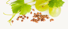 Grape Seed Oil