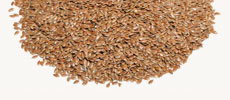 Linseed Seed Oil