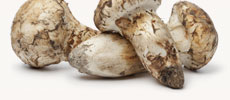 Matsutake Mushroom Extract